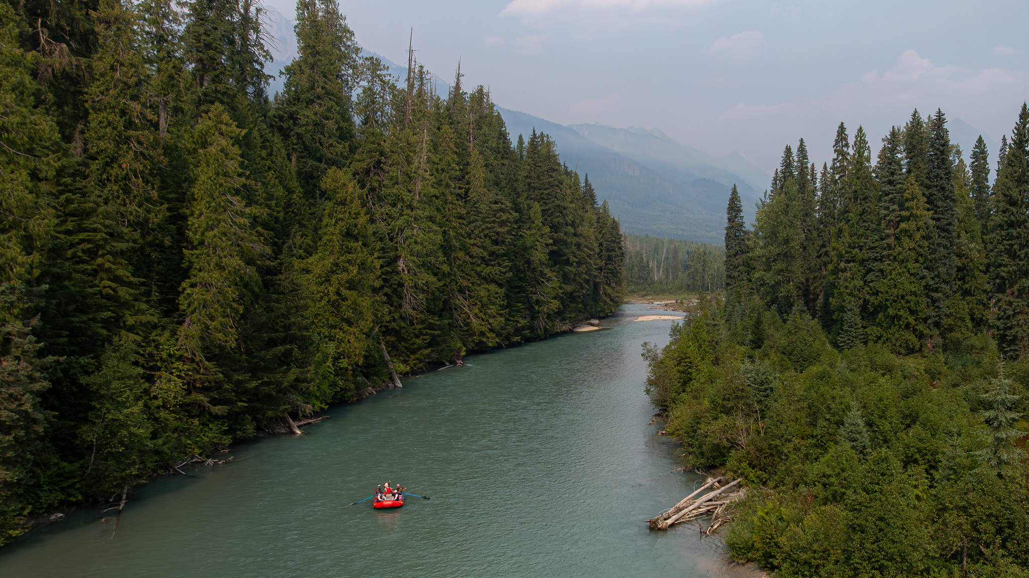 Rafting down through the forest