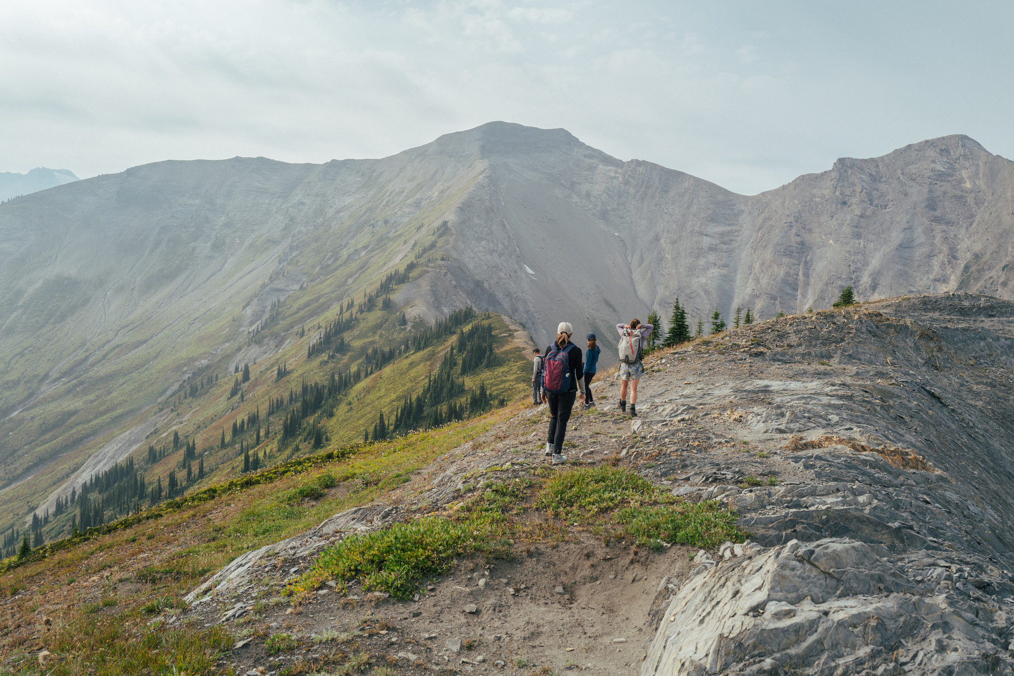 Walking a grassy ridge above the treeline