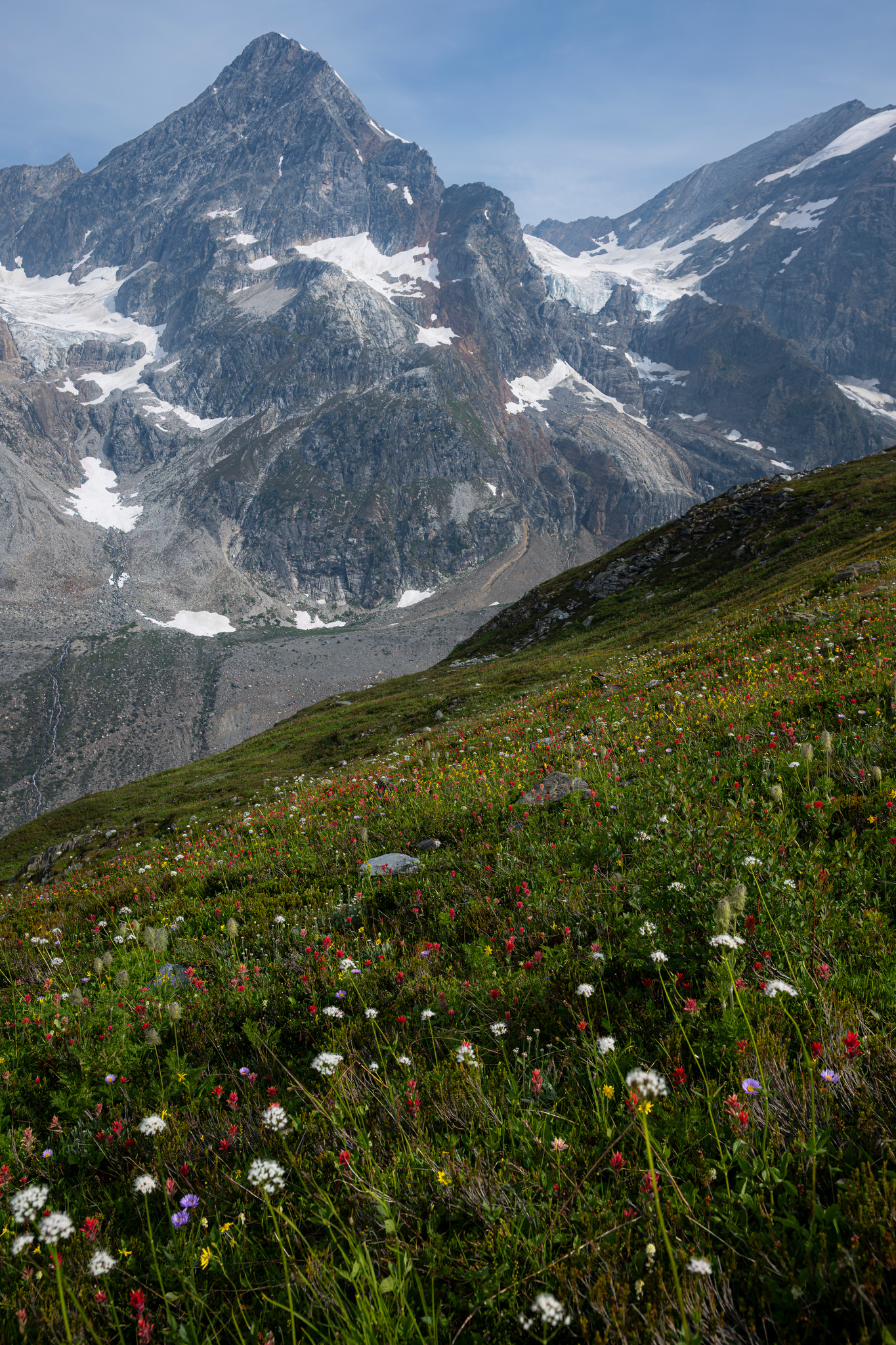 Wildflowers below a glaciated peak