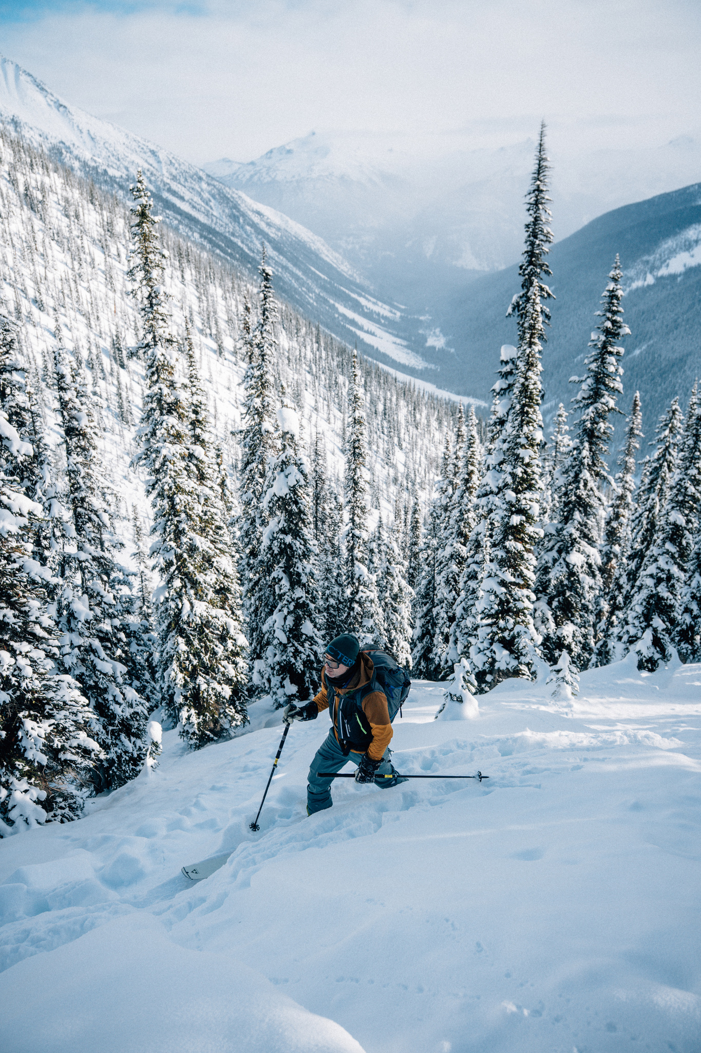 Skiing the trees in fresh snow