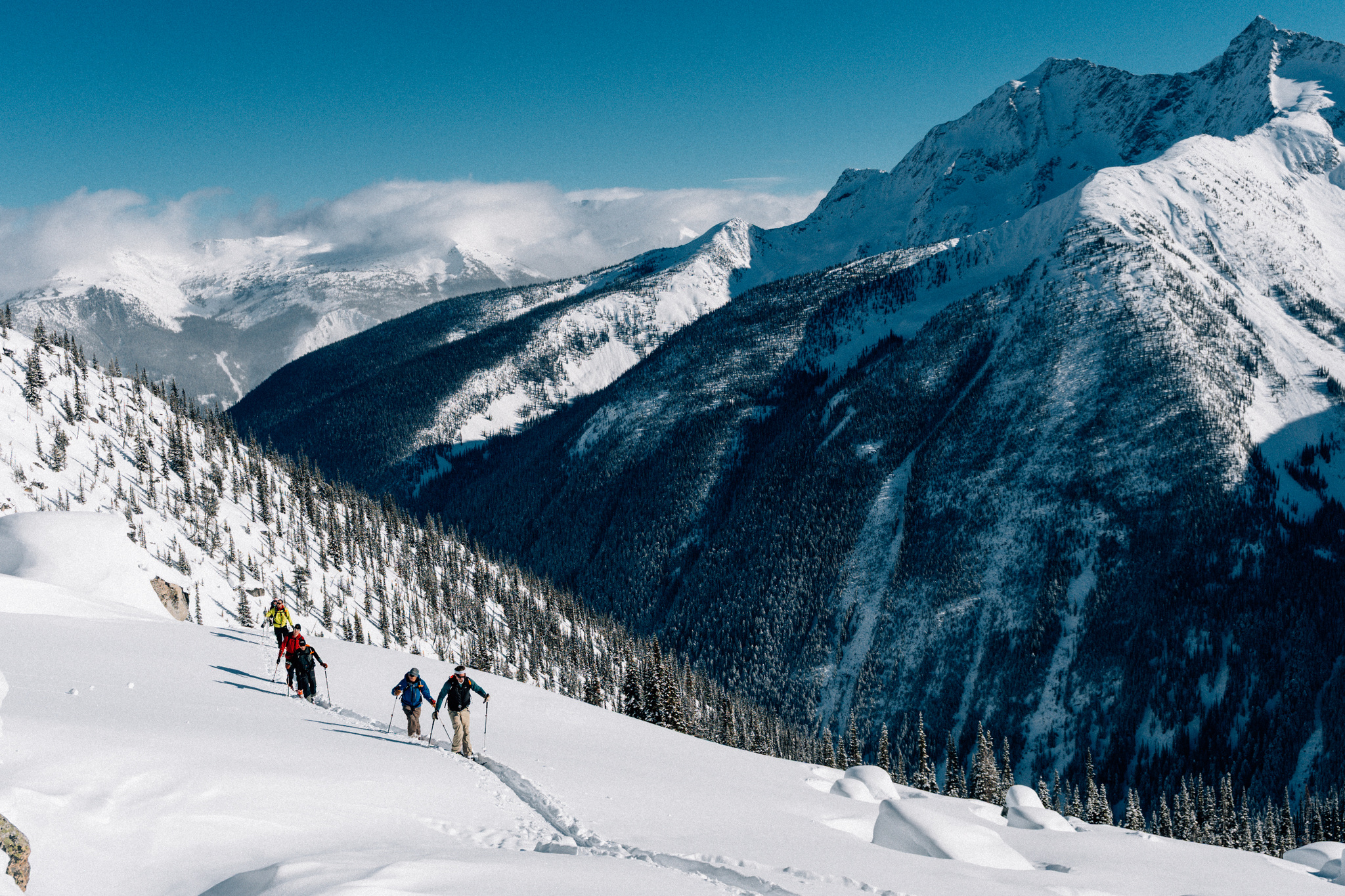 Ski tourers climbing above a forested valley