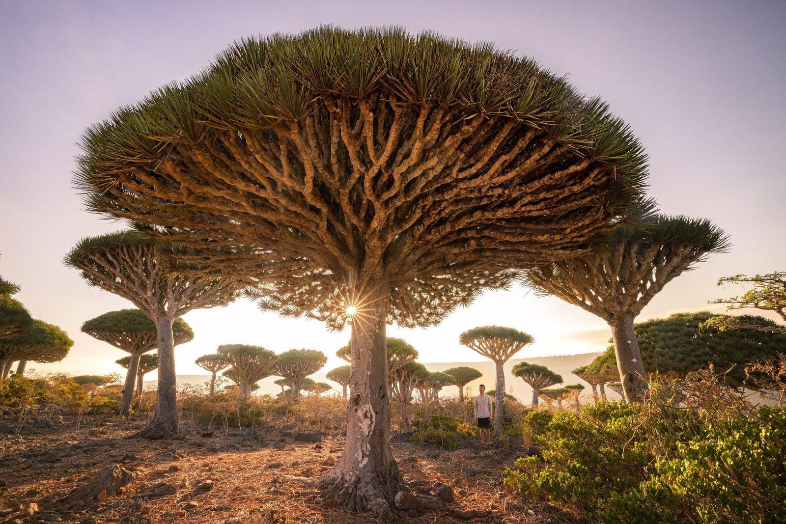 The Best Small Group Expedition Travel Companies in 2026