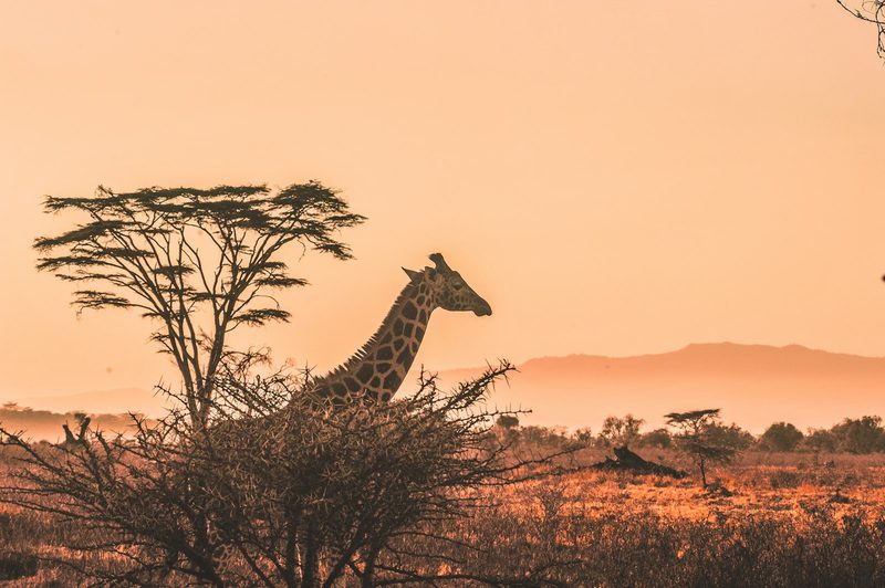 The Ethiopian Highlands Travel Guide