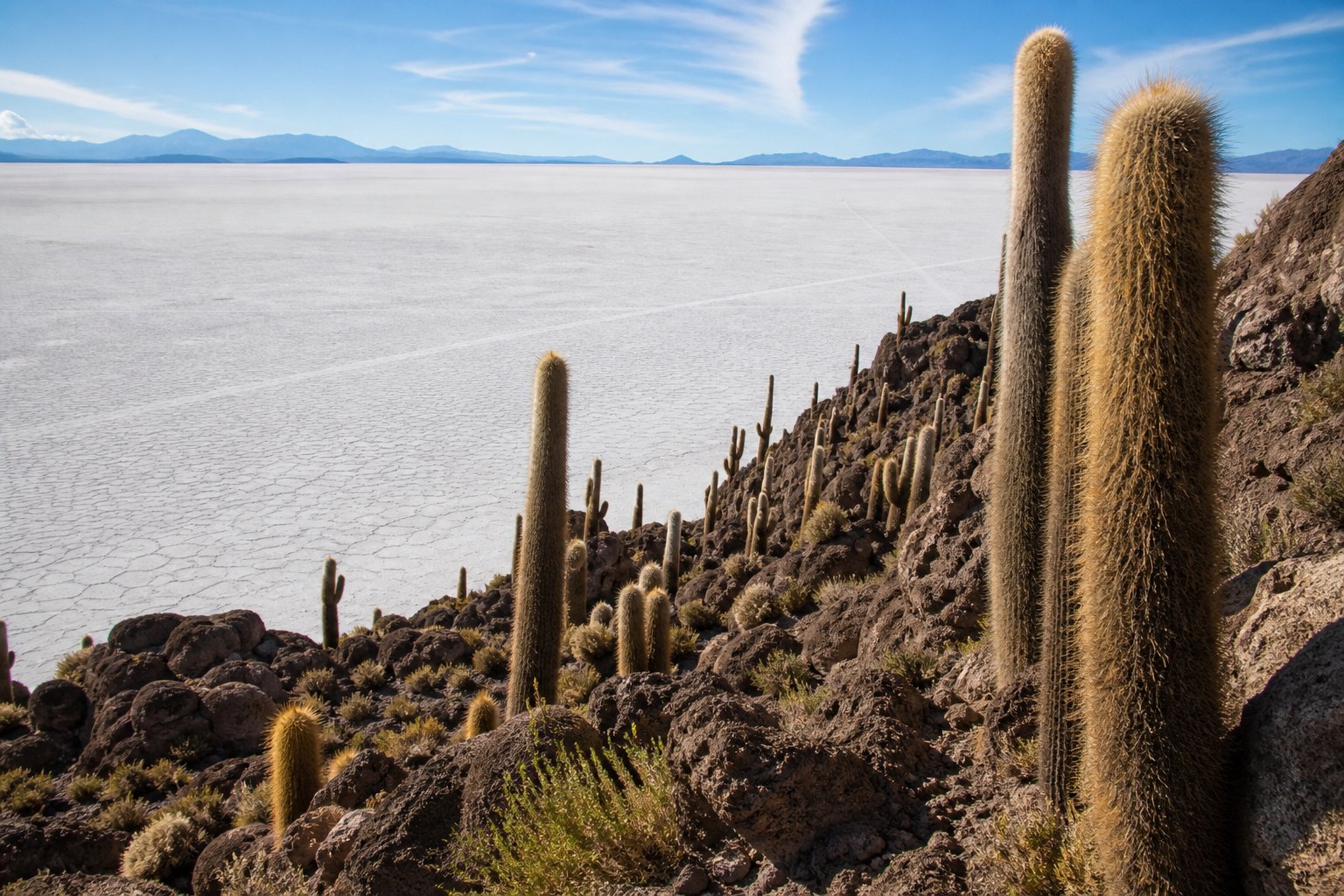 Bolivia Incahuasi