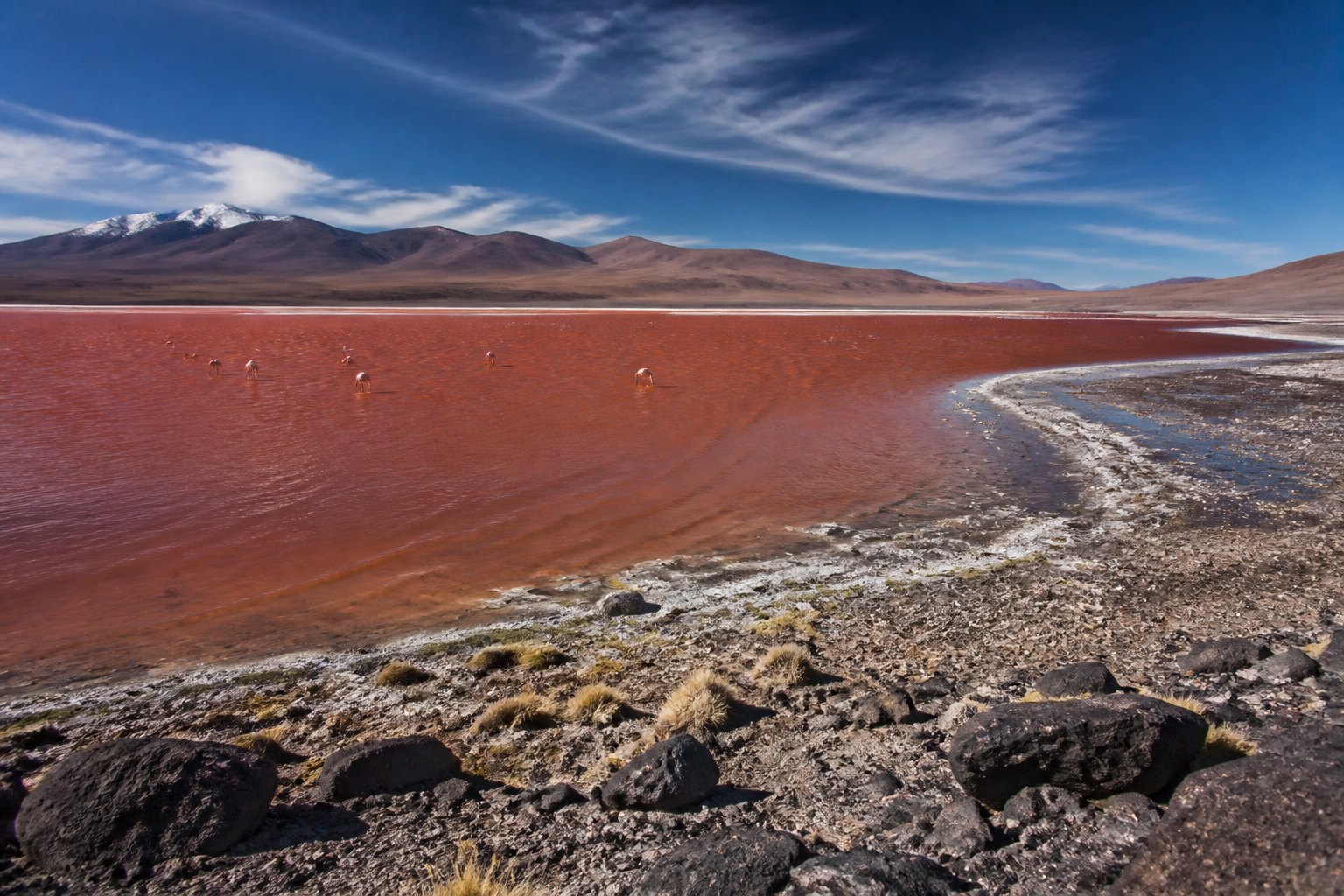 Bolivia Laguna Colorada