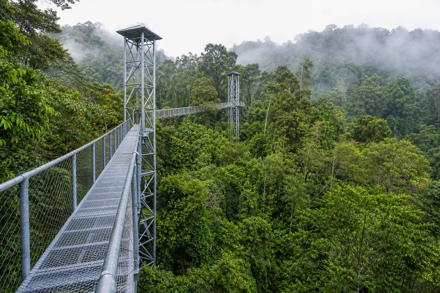 The aluminium canopy walkway above the rainforest in Ulu Temburong National Park