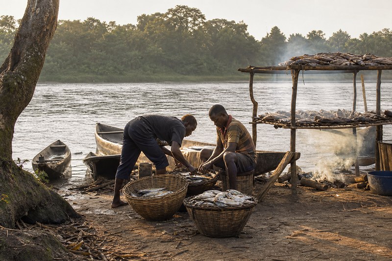 Fishers sorting the day's catch beside pirogues at Likendze