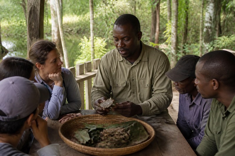 A local forest guide demonstrating medicinal plants at Mondongo
