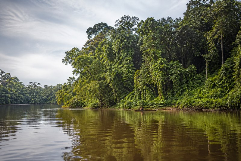 The upper Sangha River winding through unbroken rainforest