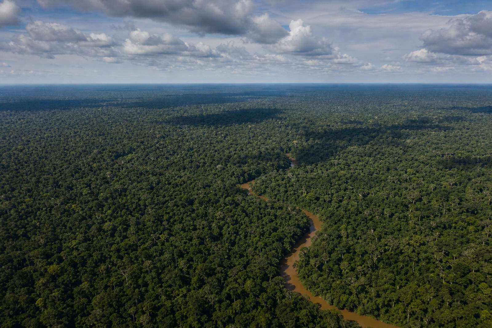 The rainforest canopy of the Congo Basin from the air