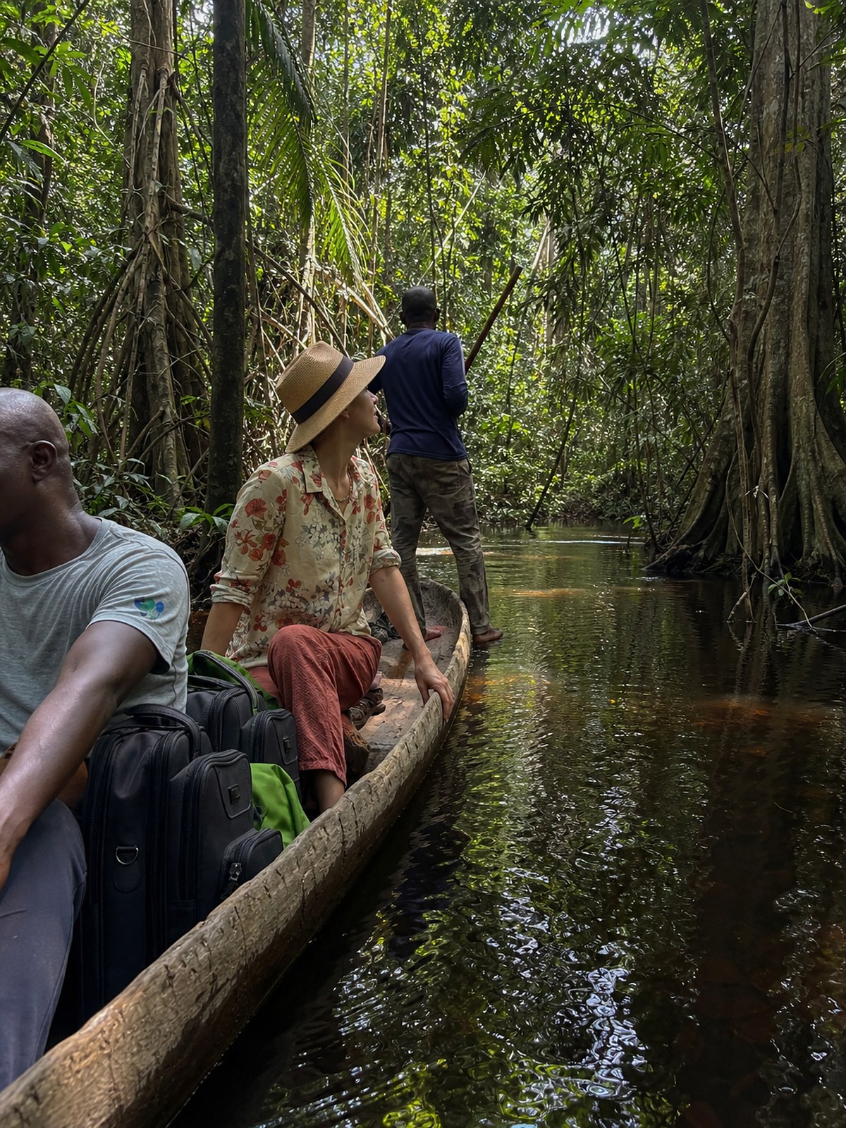 A traveller in a dugout pirogue on a forest creek in the Congo Basin