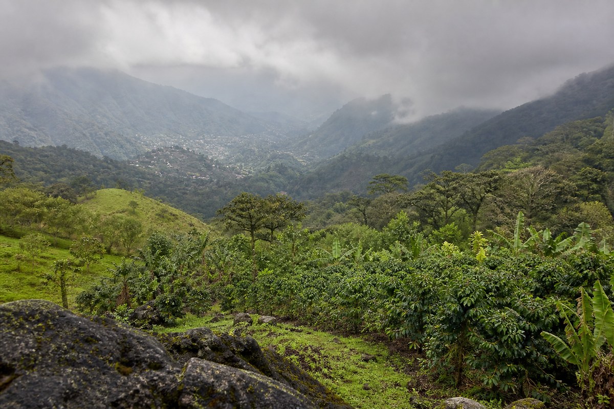 The Moka highlands on Bioko Island, Equatorial Guinea