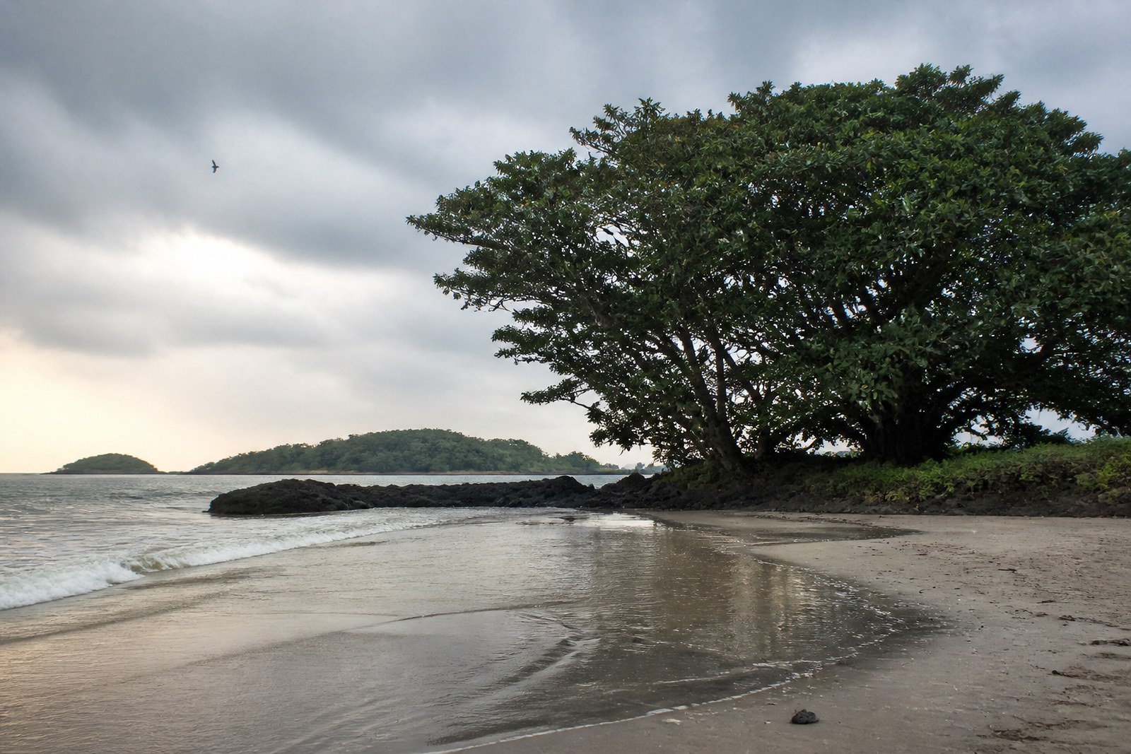 The black-sand coast at Ureca, Bioko, Equatorial Guinea