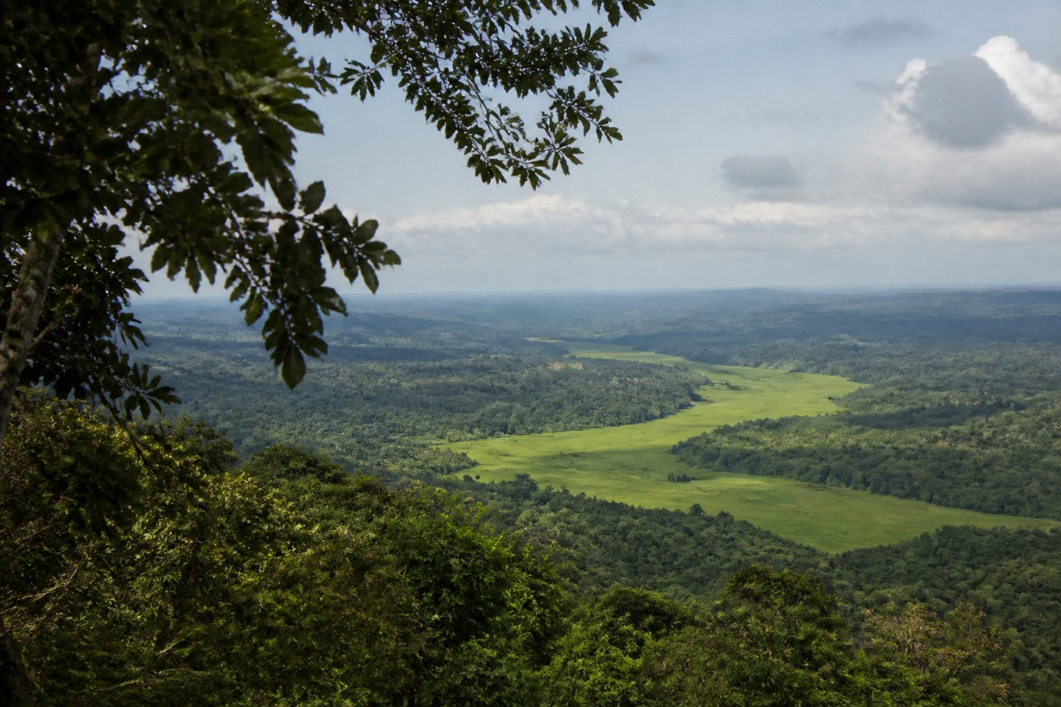 Gabon Savanna