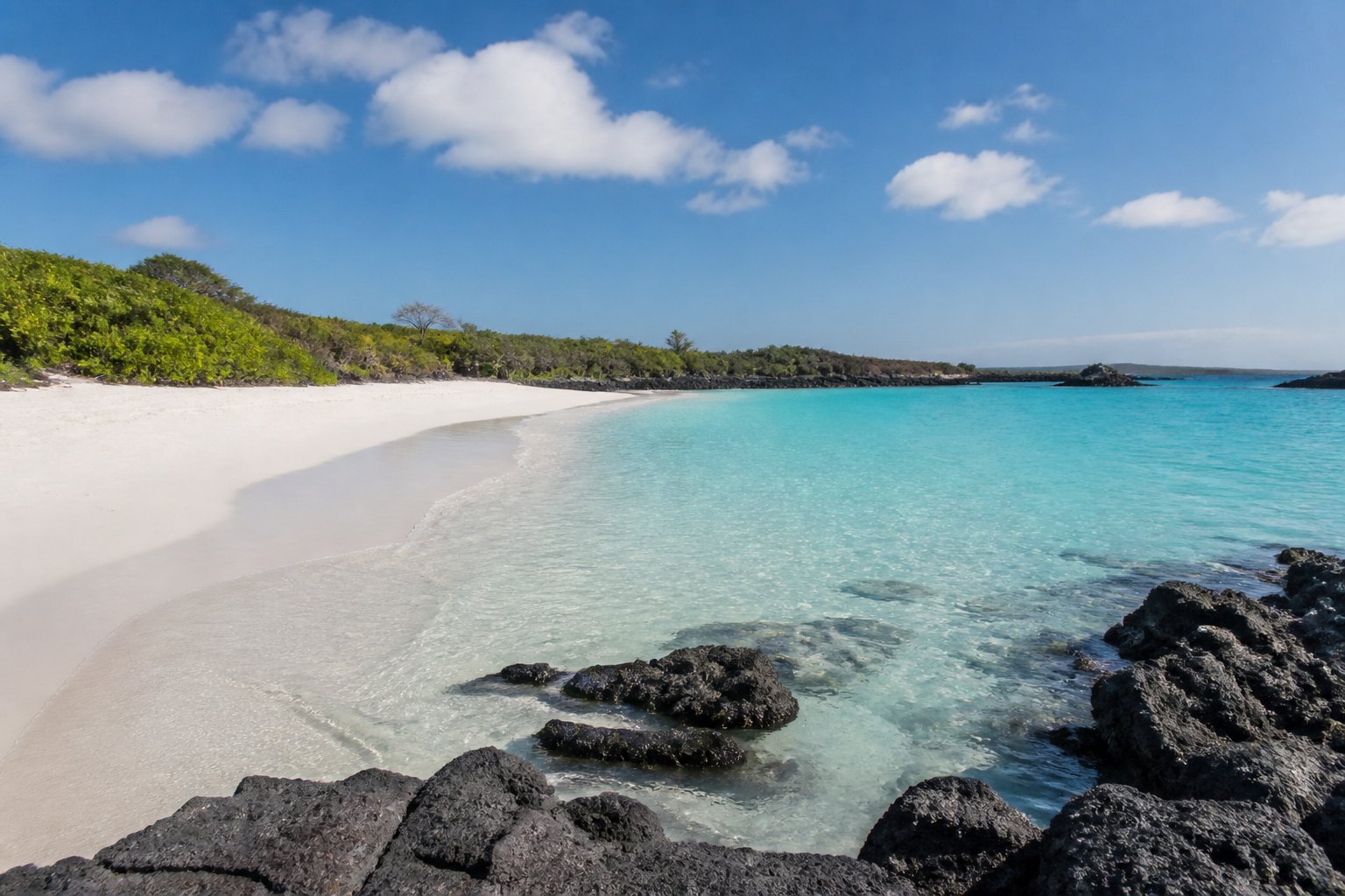 Galapagos Tortuga Bay