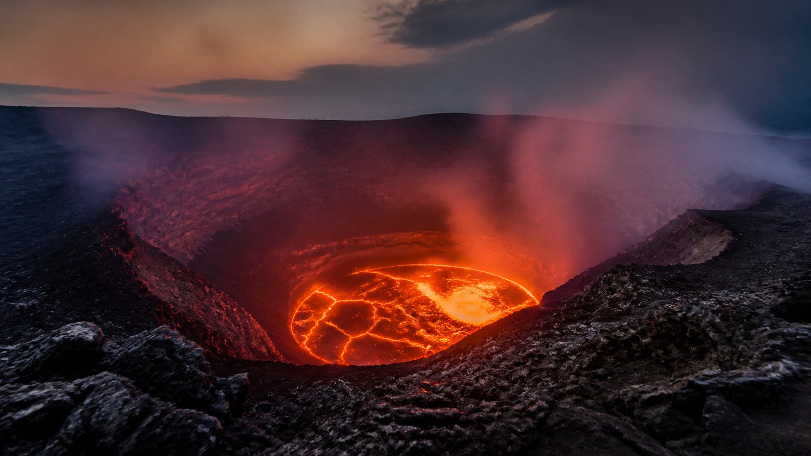 Gorilla Nyiragongo