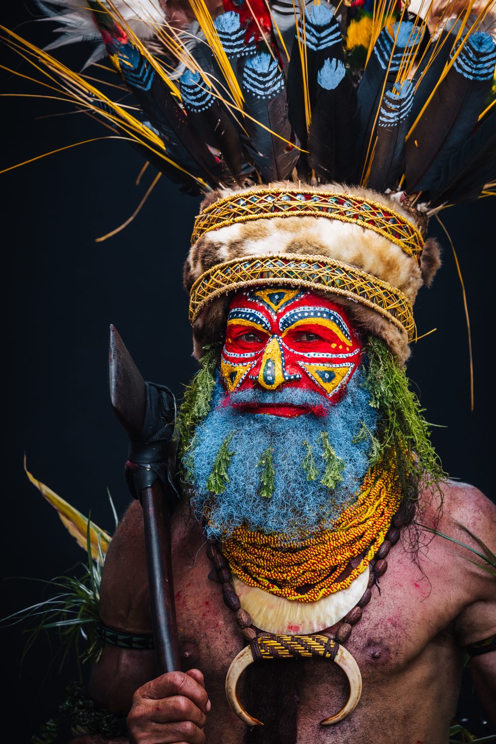 Highlands dancer in a feathered headdress and kina shell crescent at the Mount Hagen Show