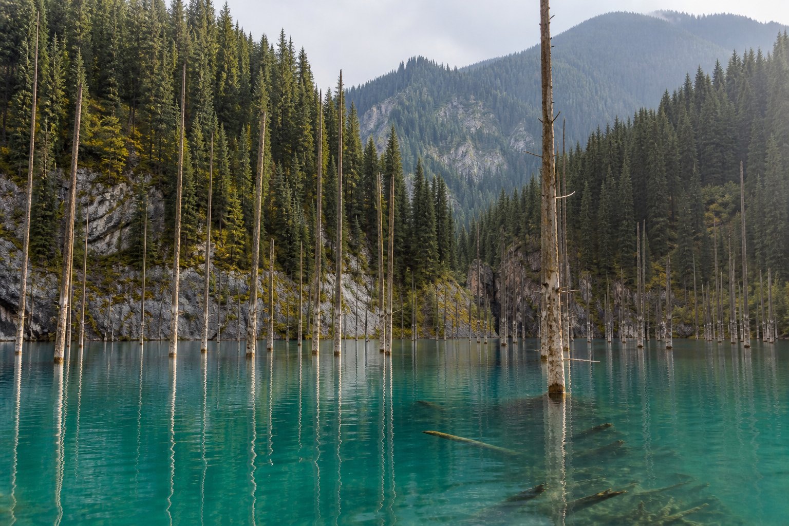 Kazakhstan Lake Kaindy Sunken Spruce Forest