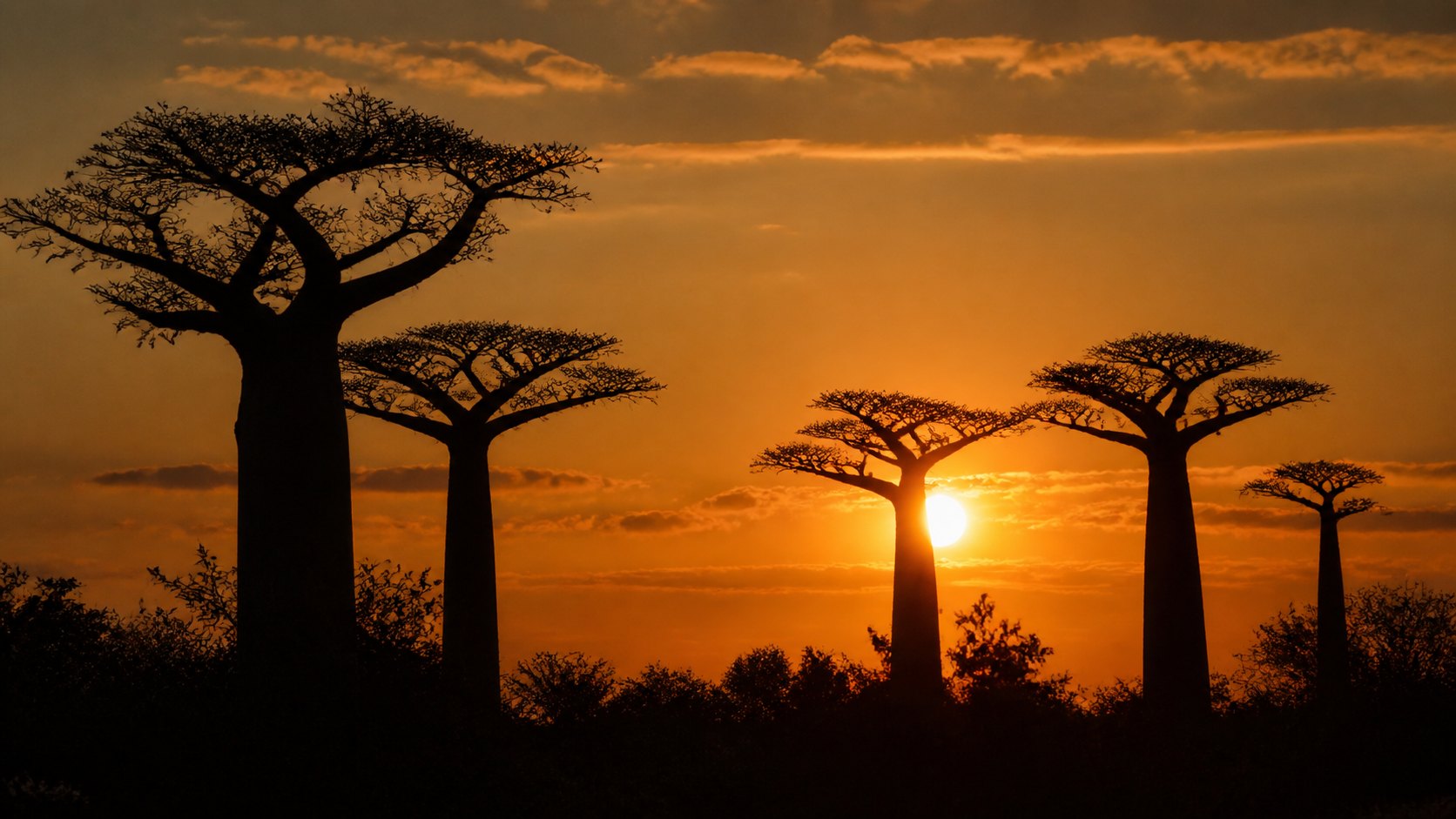Madagascar Sunset