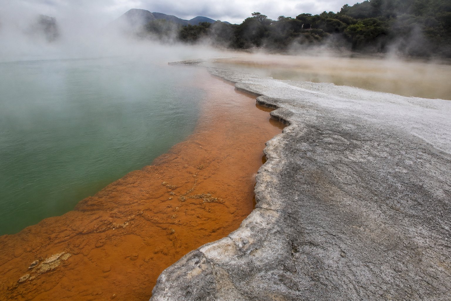 New Zealand Rotorua