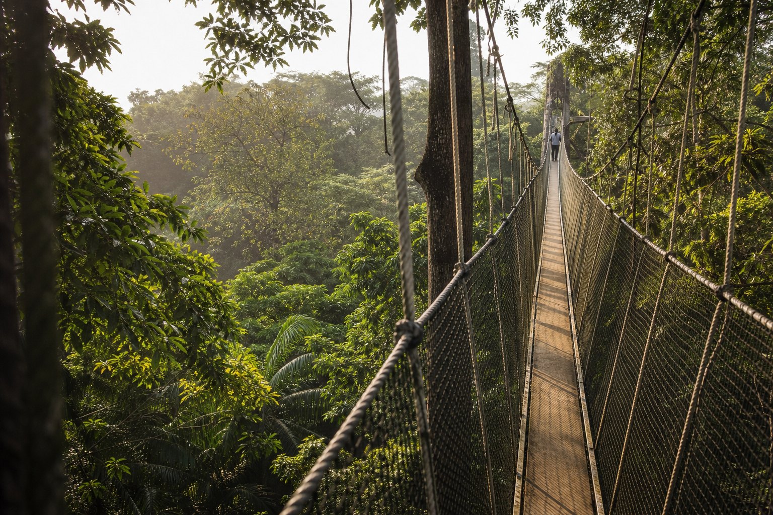 Nigeria Lekki Canopy