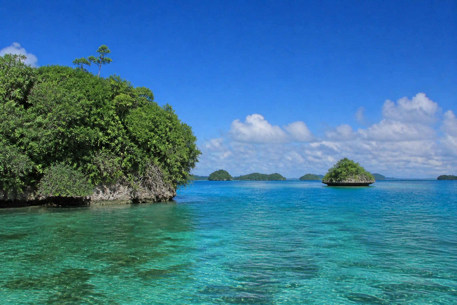 The limestone Rock Islands of Palau's Southern Lagoon