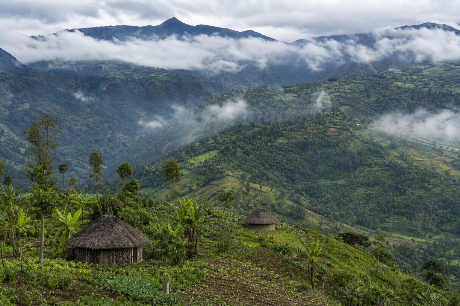 Papua New Guinea Wahgi Valley Highlands