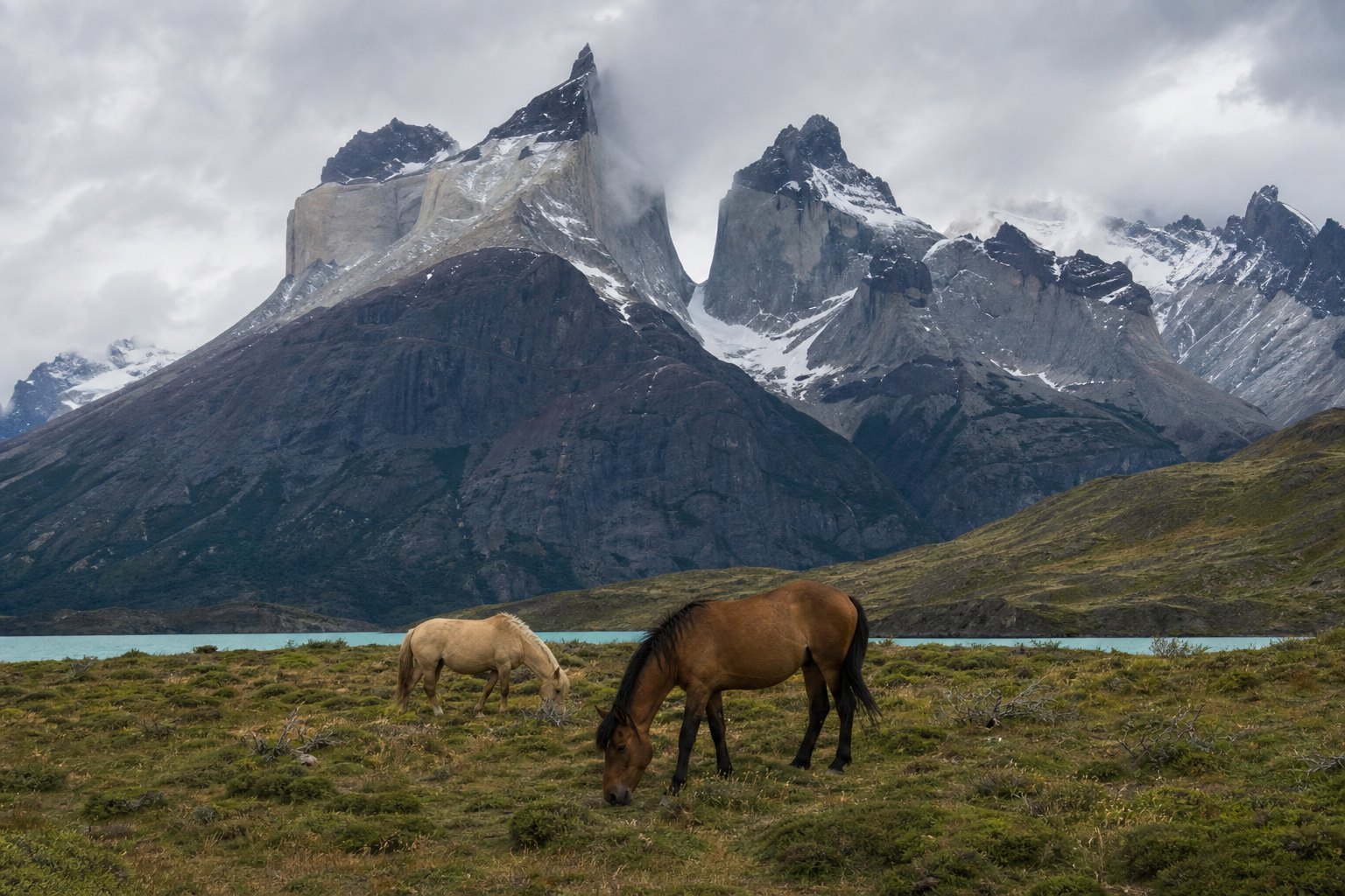 Patagonia Cuernos