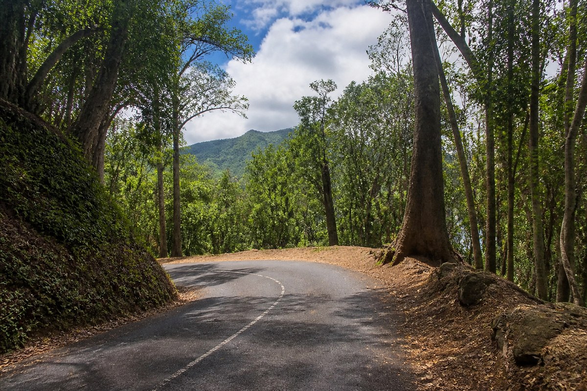 The Morne Seychellois National Park on Mahé, Seychelles