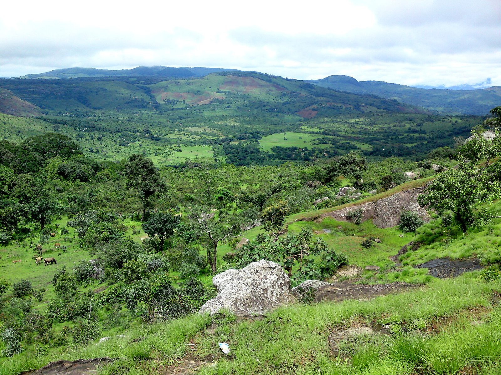 The green highlands of the Fouta Djalon, Guinea
