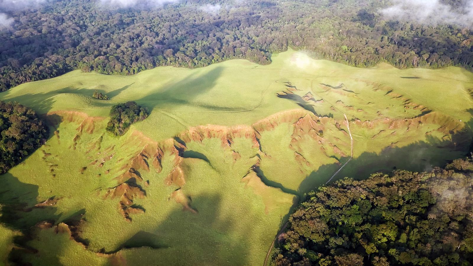 The forest-savanna mosaic of Lopé National Park, Gabon