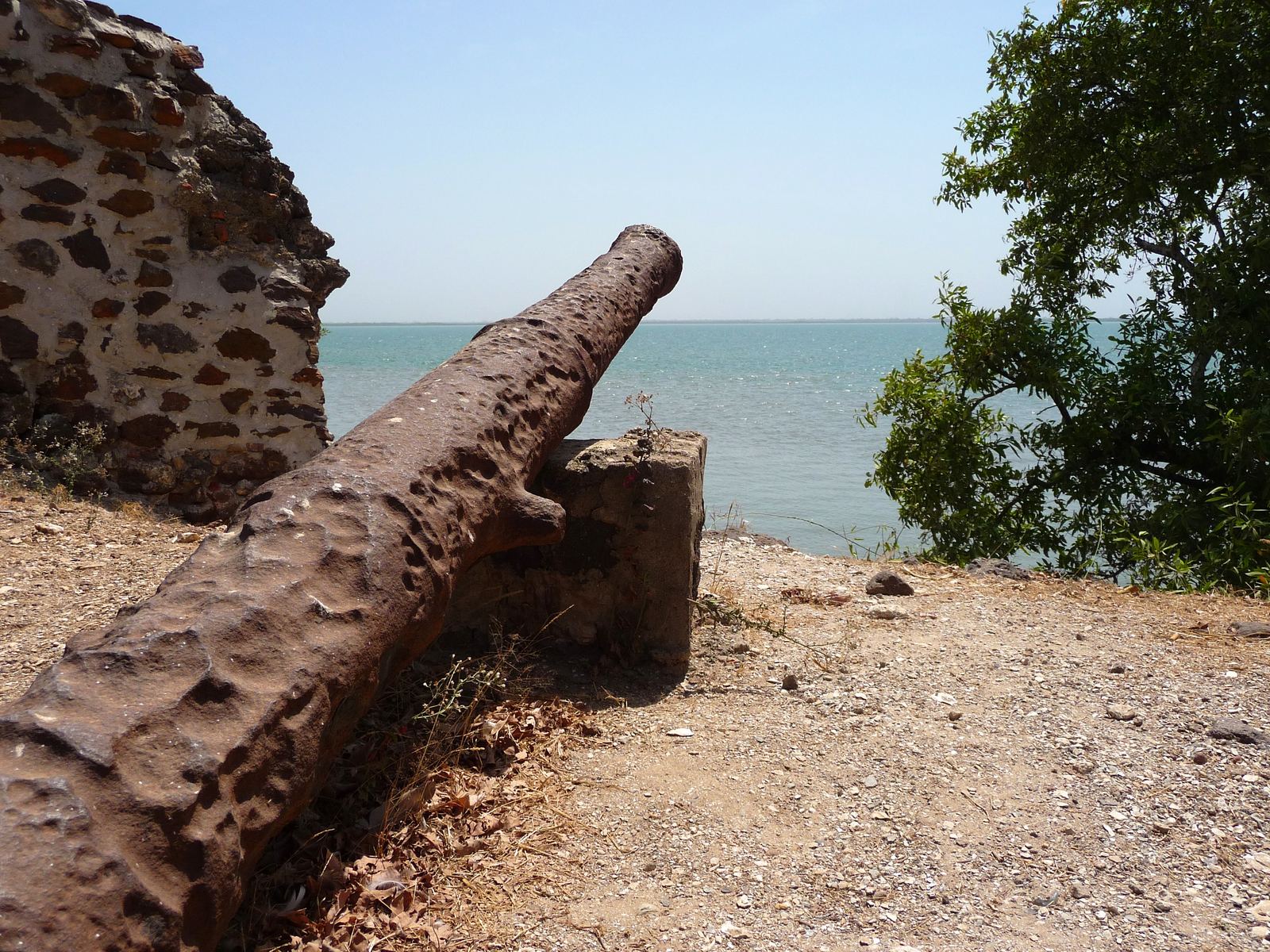 Kunta Kinteh Island in the Gambia River