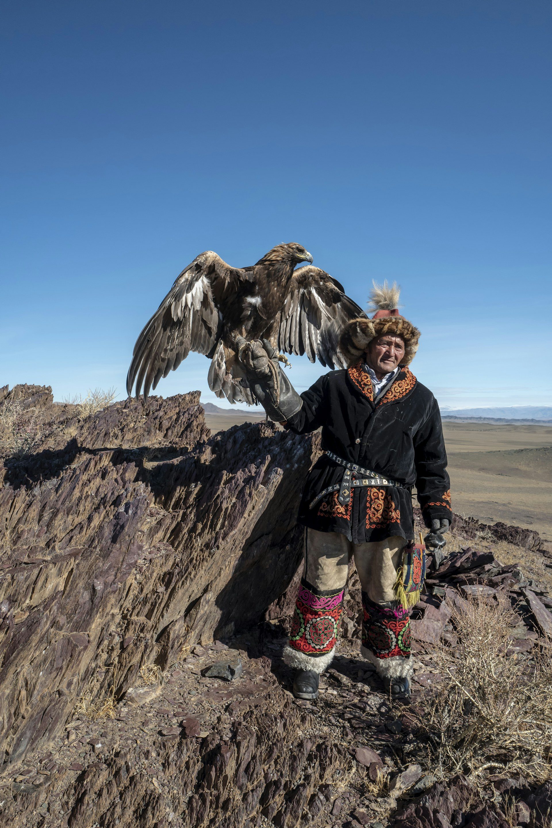 Kazakh eagle hunter holding his golden eagle on a cliff edge, western Mongolia