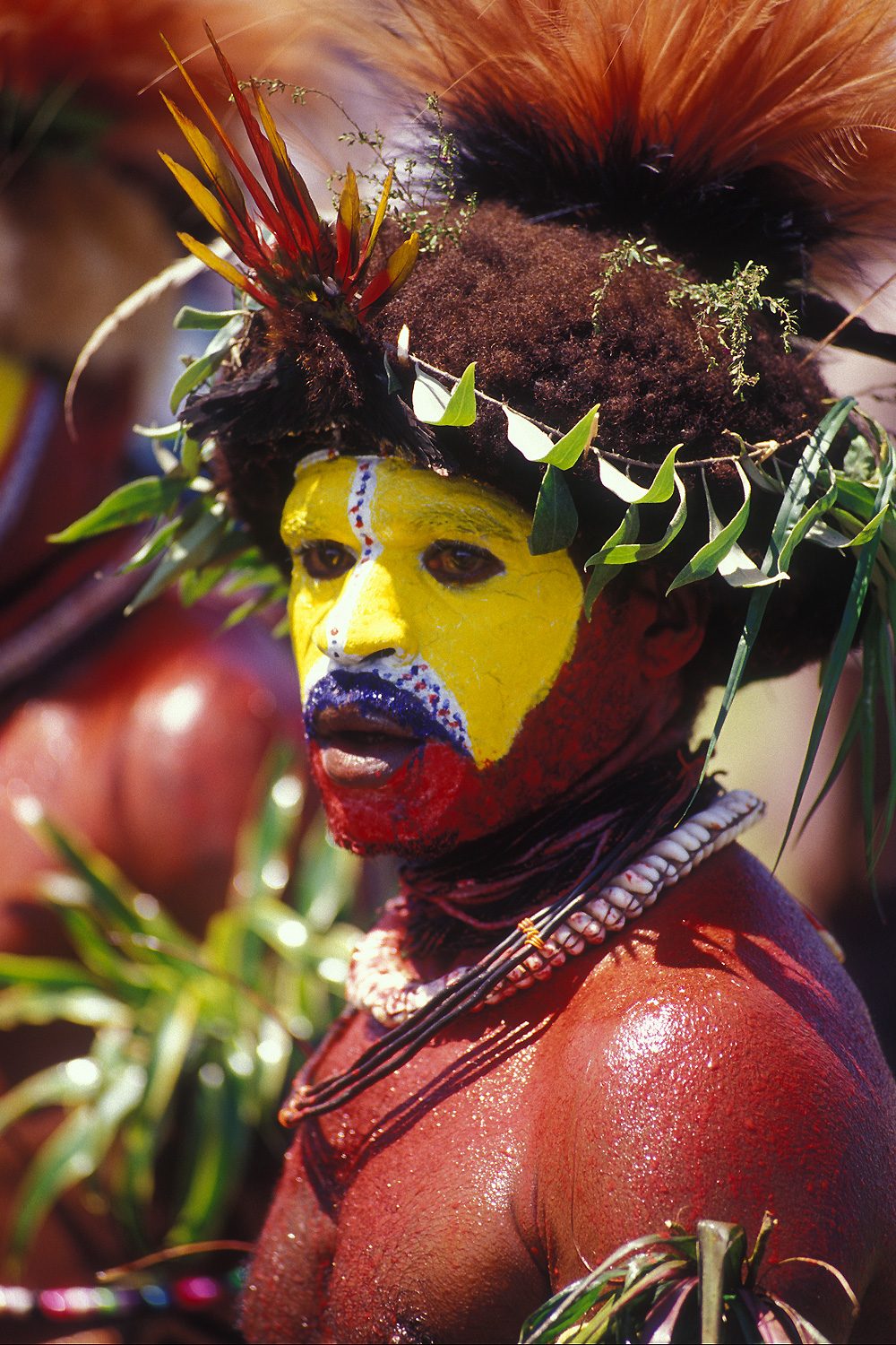 A Huli wigman in ceremonial face paint, Papua New Guinea Highlands