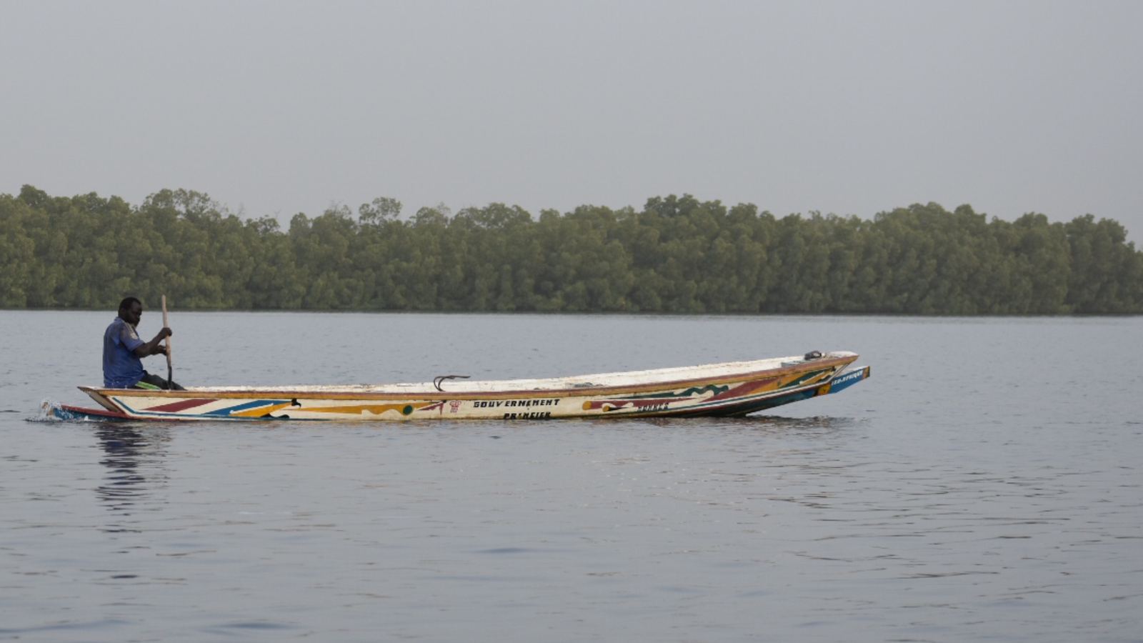 Pirogues in the mangrove channels of the Sine-Saloum Delta, Senegal