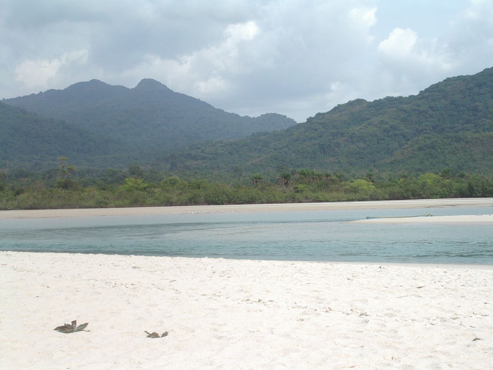 A palm-backed beach on the Freetown Peninsula, Sierra Leone