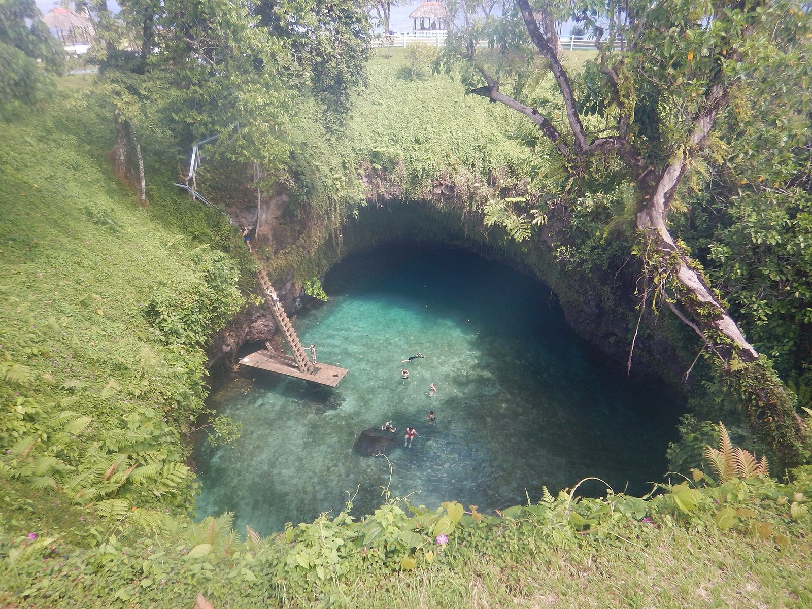 The To Sua Ocean Trench swimming hole, Upolu, Samoa
