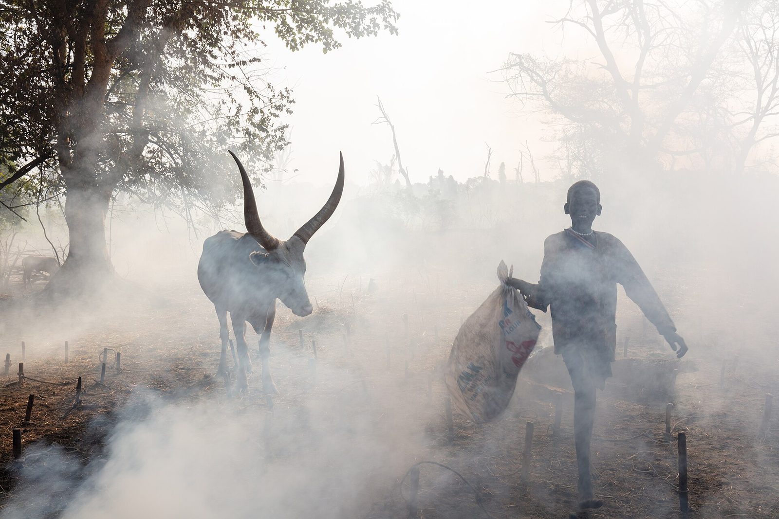 Dung-smoke drifting through a Mundari cattle camp at first light, South Sudan