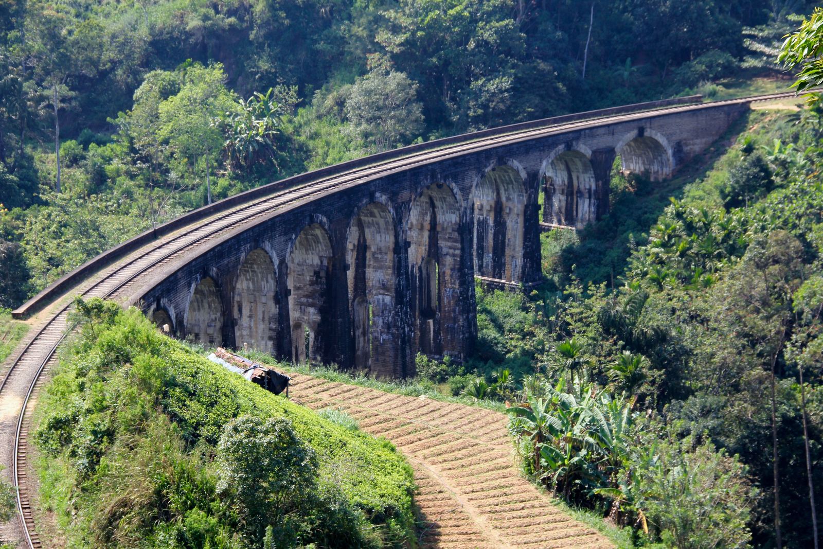 The railway through the tea country of Sri Lanka