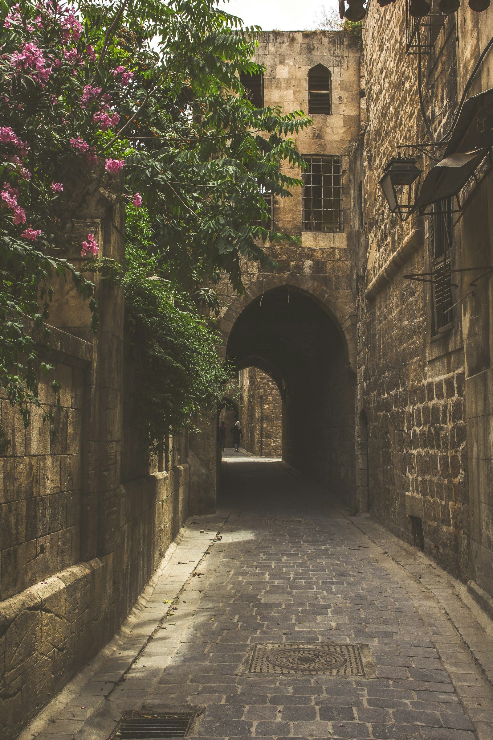 Old stone arch with vines in the Old City of Aleppo, Syria