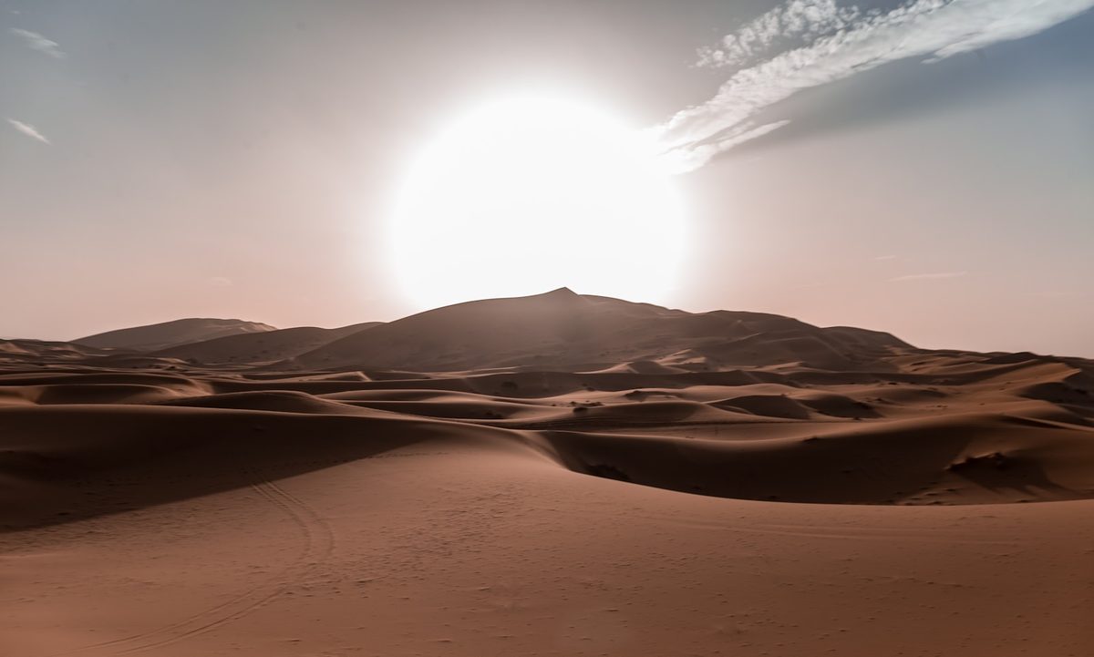 Rolling Sahara dunes at golden hour