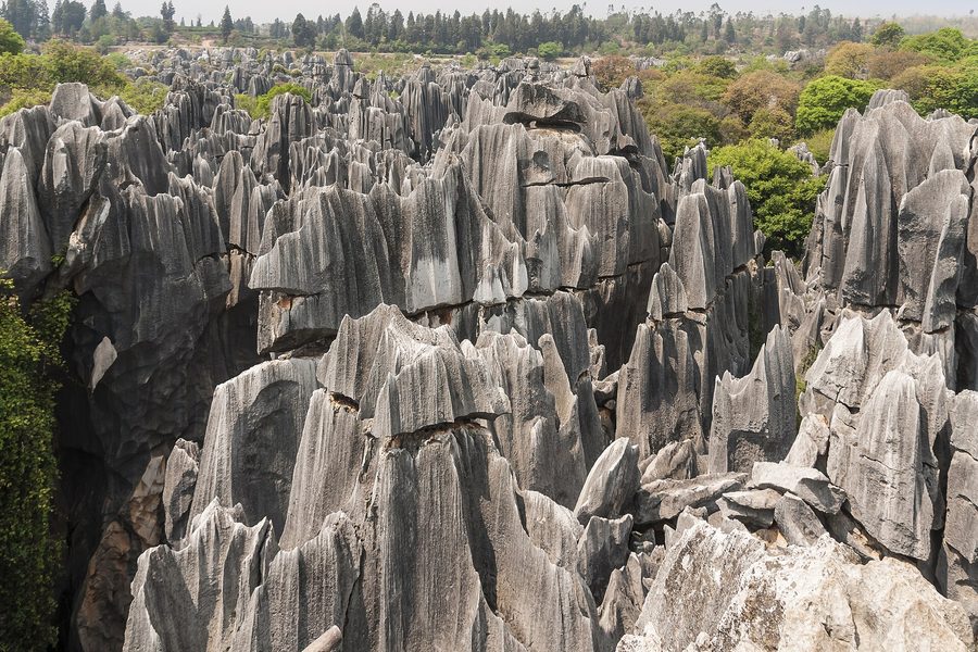 The limestone blades of the Stone Forest at Shilin, Yunnan