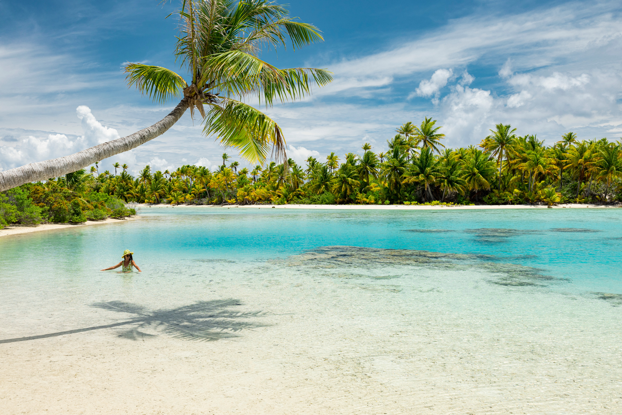 A palm leaning over a white beach and clear shallows on Fakarava, a swimmer in the water
