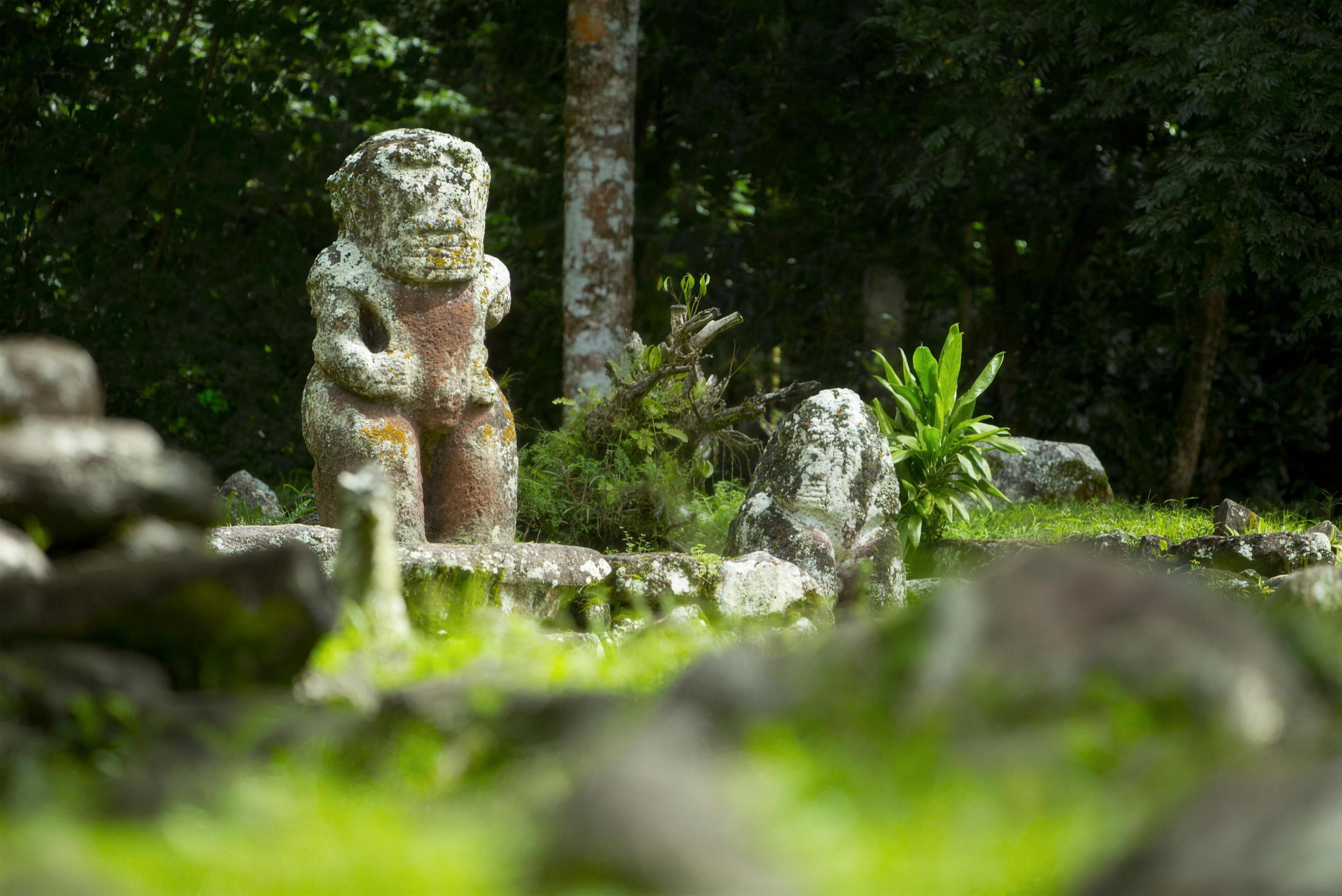 A stone tiki among ferns and old stone walls at I'ipona, in the Puamau valley