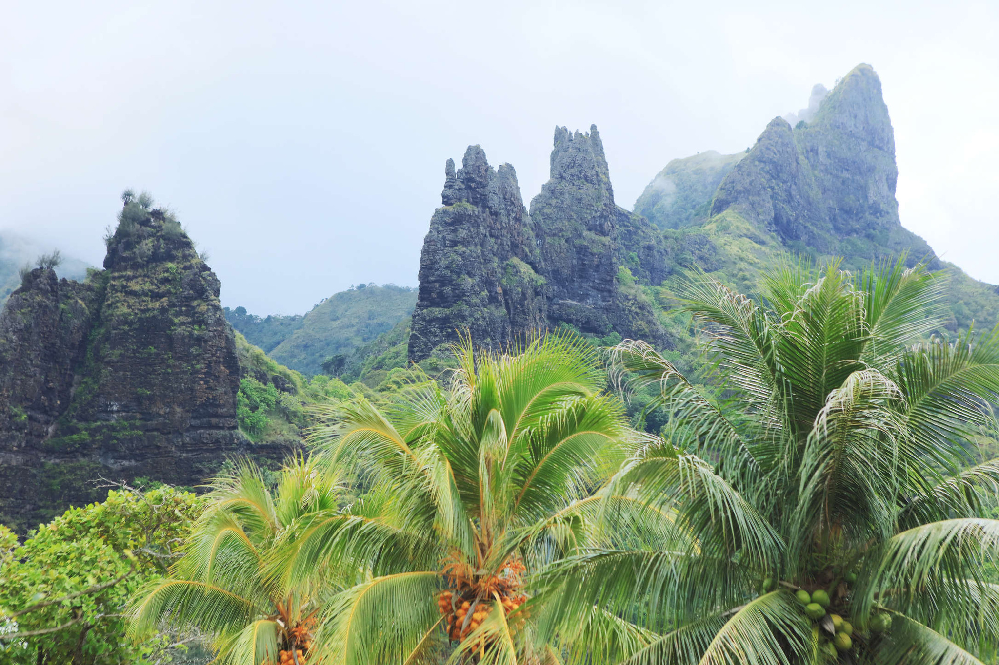 Jagged rock spires above coconut palms on Nuku Hiva