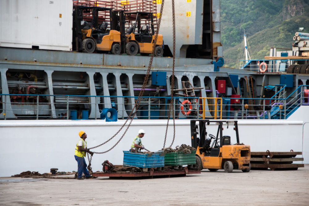 Forklifts and crew working cargo on the quay beside the ship