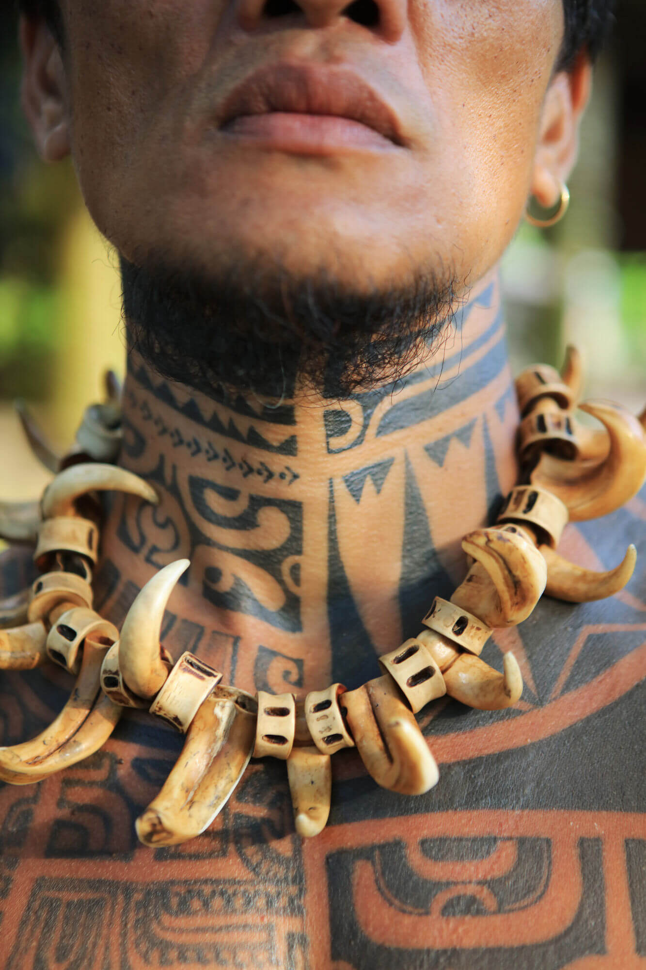 A man's neck and chest covered in Marquesan tattoos, with a necklace of tusks