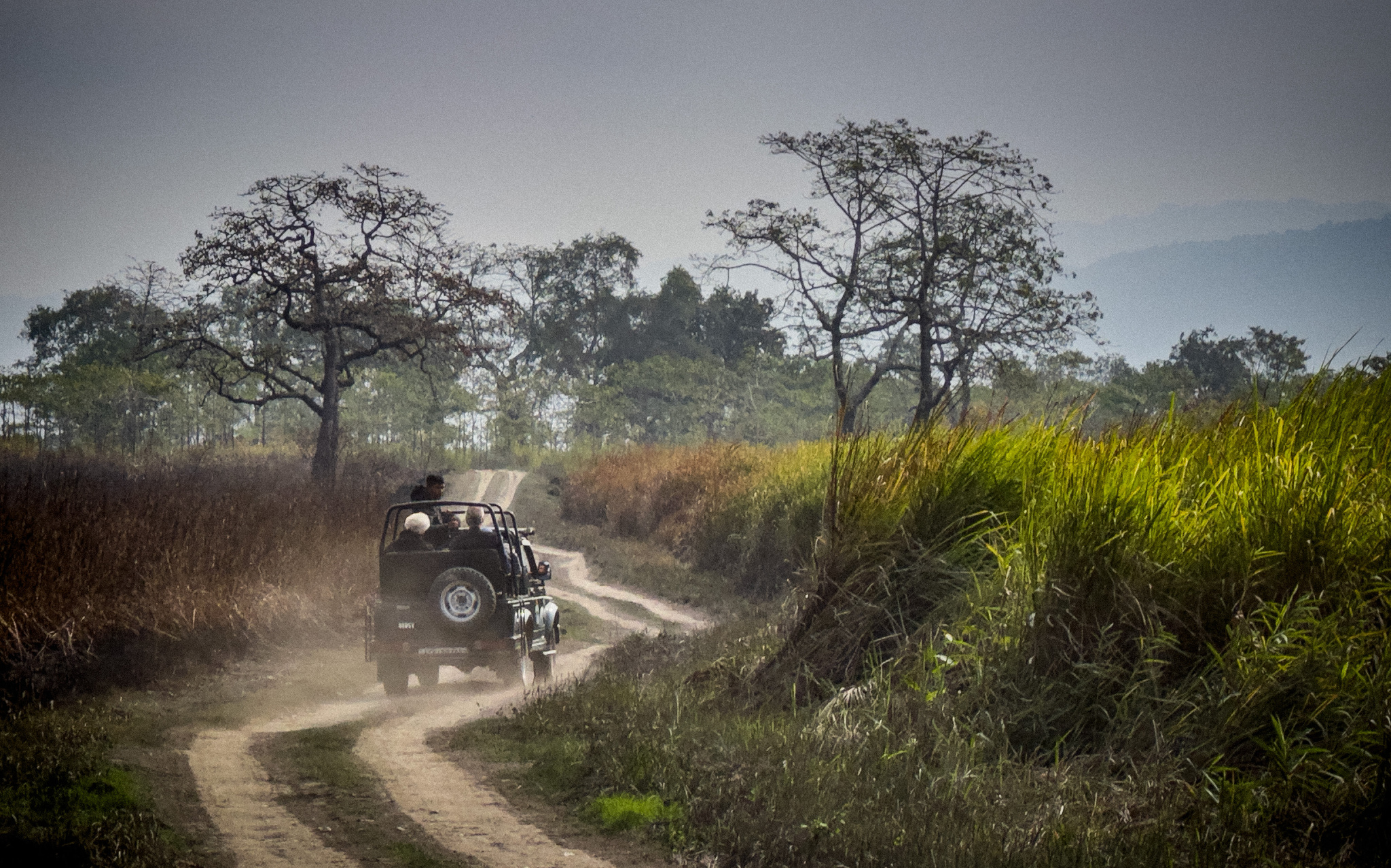 A safari jeep on a dusty track through the grass