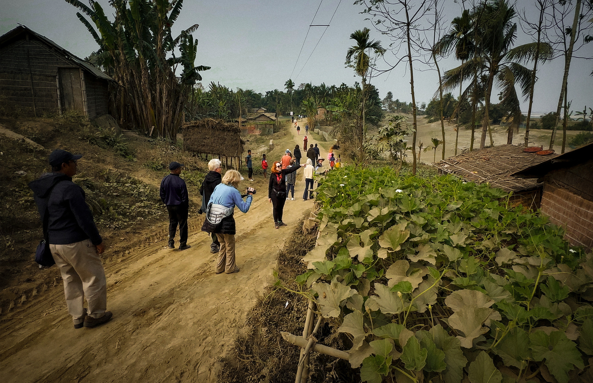 Guests on a village lane past vegetable gardens