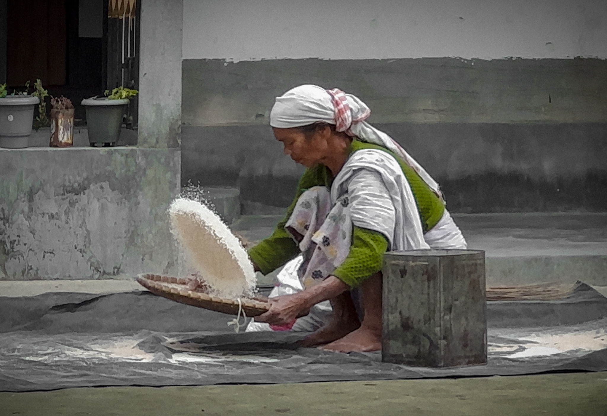 A woman winnowing rice